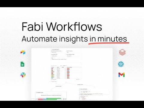 Introducing Fabi.ai Workflows