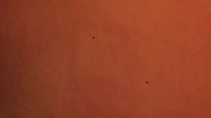 Explore Dream Japan: A Journey Through Culture and Beauty