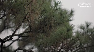 411K views · 4.2K reactions | Timeless tradition lives on in this modern city. Content by Korean Air. | CNN Travel | Facebook