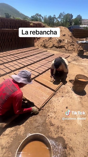 Malena: La Rebancha y Su Éxito Musical