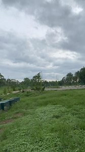 36 reactions · 33 comments | pang breeding mga pullets pwede na i out dami nila | Teddie Lalap Sagun | Facebook