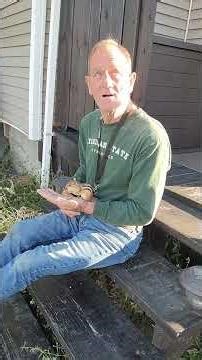 CHIPMUNKS HAVE EXTREMELY SHARP EYESIGHT, BOOMER #chipmunk #boomer #crazy #funny #cute #wildlife