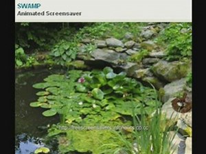 Free Screensavers For Your Desktops