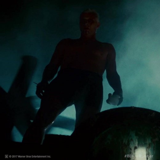 477K views · 24 reactions | Immerse yourself in all the action of Blade Runner: The Final Cut like never before with the lifelike color and multidimensional audio of 4K Ultra HD on 9/5! | Warner Bros. Entertainment | Facebook