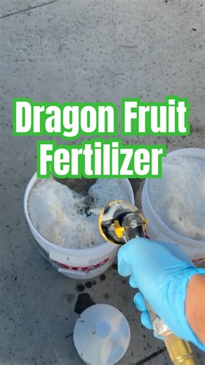 Anyone else using Alaska Fish Fertilizer for Dragon Fruit?