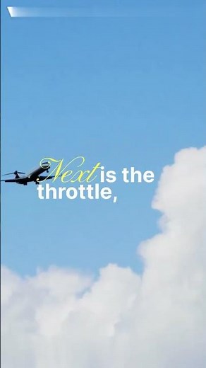 How do pilots control such powerful planes? #aviation #pilotlife