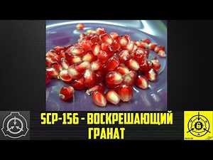 SCP-156 - Воскрешающий гранат 【СТАРАЯ ОЗВУЧКА】