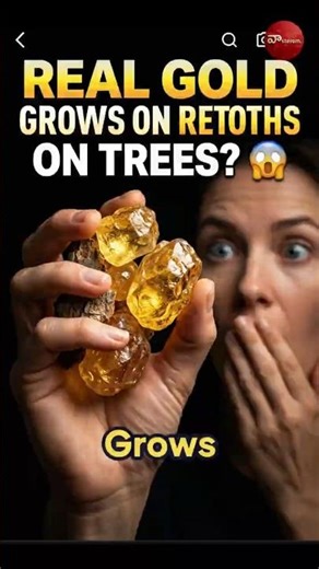 5,000 ఏళ్ల నాటి ఆయుర్వేద రహస్యం! This Tree Resin is Secret "Desi Gold" ? #telugu #facts | Vastavam