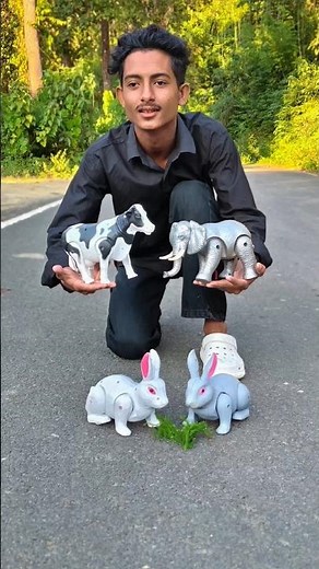 Rc remote control toys animal unboxing review