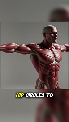 Flexibility & Mobility Workout #shorts #gym #workout