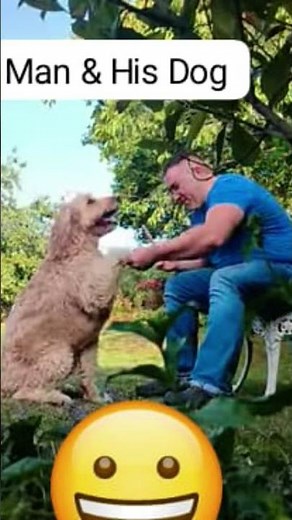 Here's a Picture of a Dog Shaking Owner’s Hand! 🐶🤝 Shard Meme Melts Hearts! 😍Dog Meme Cuteness! 🐾🔥