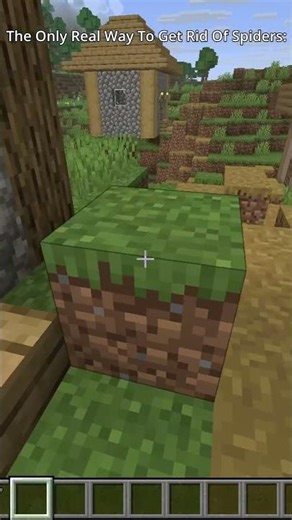 The Only Real Way To Get Rid Of Spiders: