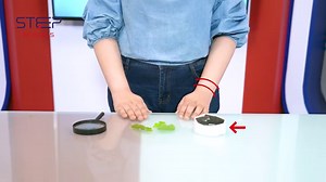 1.4K views · 37 reactions | At STEP Schools, we believe in encouraging self-directed learning. Here's a small DIY experiment you do at home and have fun while learning! Join us as we endorse creativity and critical thinking among our future leaders! #STEAMApproach #ScienceIsFun | STEP Schools | Facebook