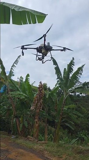 these are the fumigation drones here in Colombia, widely used #countryside #farmers