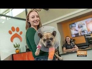 Pets on Parade | Adoptable pets from the Arizona Humane Society (4/19/2025)