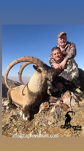 Book Your bezoar ibex with Caprovis Hunt hunting company in Turkey 🇹🇷 | Serkan Mert