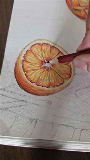 how to colour orange with colour pencil ✏️ #shorts ‪@Rspallette‬