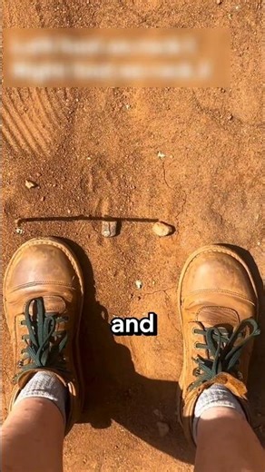 How to Find Direction Without a Compass 🧭