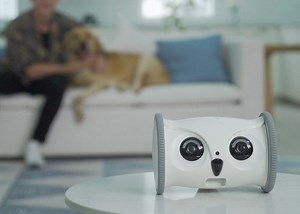 Owl pet robot lets you interact with your pet remotely