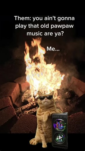 I sure am going to play It😜 Here is another one of my favorite songs🎵💜🔥 #hankwilliamsjr #MemeCut #fyp #outlawcountry #countrylife