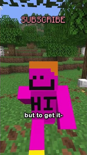 THE NEW RAREST MUSIC DISC IN MINECRAFT!!!!!!