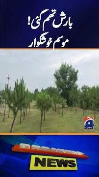 Rain Stops, Weather Turns Pleasant | Latest Weather Update