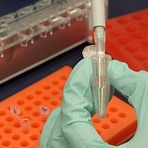 Video: Enhanced Reduced Representation Bisulfite Sequencing for Assessment of DNA Methylation at Base Pair Resolution