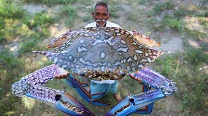 324K views · 1K shares | KING CRAB RECIPE !! Japanese Street Food GIANT CRAB COOKING | Grandpa Kitchen | Facebook