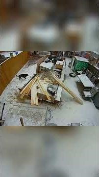 Funny Slippery Ice Fails Caught on Camera❄️🤣 (part 1)