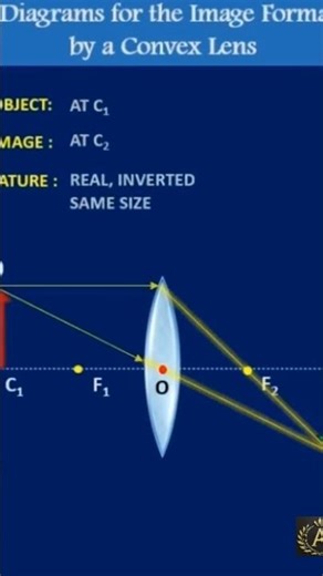 rays diagrams for the image formation