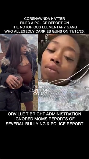 CORSHAWNDA HATTER FILED A POLICE REPORT ON THE NOTORIOUS ELEMENTARY GANG WHO ALLEGEDLY CARRIES GUNS ON 11/15/25. #fyp #viral #explorepage #trending #chicago #orvilletbrightelementary #mother #gunviolence #bullying #students | Lou Anderson