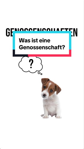 Was ist eine Genossenschaft? Erklärung mit Hundis