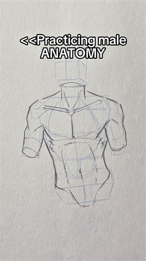 Practicing Male ANATOMY