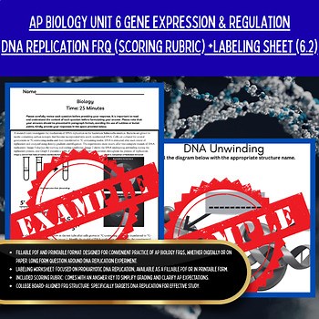AP Biology UNIT 6 Gene Expression 6.2 DNA Replication FRQ (Rubric) + Labeling