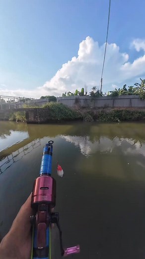 15K views · 2.9K reactions | New Slingshot Fishing Reel Set is ! Free for shipping on sale. homepage have store | Hookr Jack | Facebook