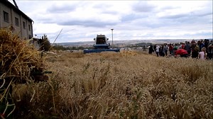 DDR-Fahrzeugtechnik on Reels