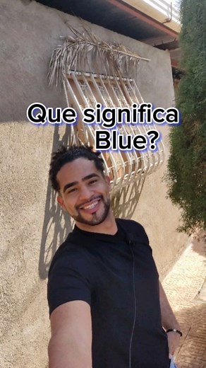 Usos y significados de Blue 💙 Sígueme en Tiktok @english_with_beker #english_with_beker #blue #azul #quesugnifica #english #ingles #inglesfacil #inglesrapido #easyenglish #vocabulario #vocabukary #viral #foryou #teacher #englishteacher | Beker Blandon