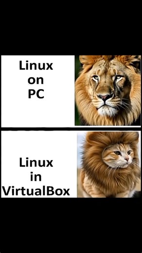 The tech guy on Instagram: "Computer users will understand better #programmingmemes #programmerhumor"