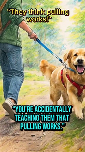 Why Your Dog Pulls on the Leash (Hidden Reason) 🐶 ‪@PuppyCareSecrets‬