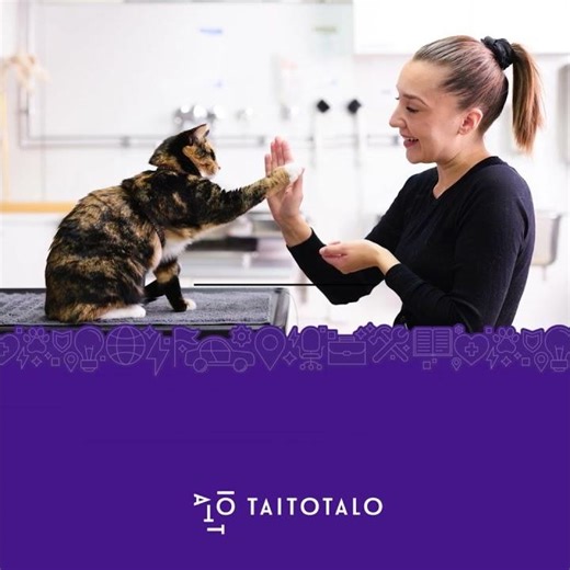 Eläintenkouluttaja