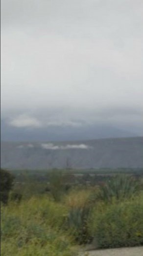 Where Deserts Meet: Mojave vs Sonoran