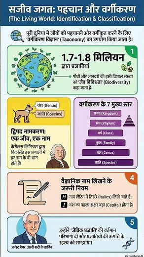 Class 11 Biology Chapter 1 | The Living World | Full Chapter NCERT Explained