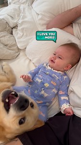 Two tiny hearts figuring out friendship 🥹🐶👶 | Furry Tails