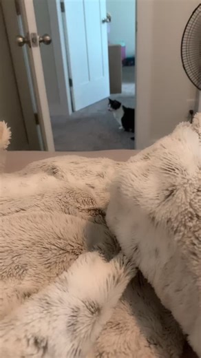 Alex Pikachu (@pikachu_alex)’s videos with original sound - Alex Pikachu