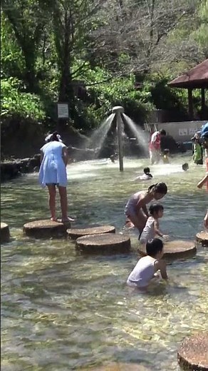 真夏の横浜「こどもの国」のせせらぎエリアで戯れるちびっ子たち