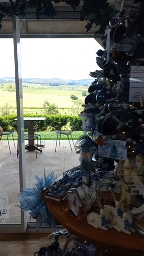 Atherton Christmas Tree Farm #athertontablelands #athertonchristmastree | Mother Cindy of Australia | Facebook