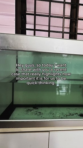 A Fascinating Look into the Life of a Trauma Cleaner in Singapore