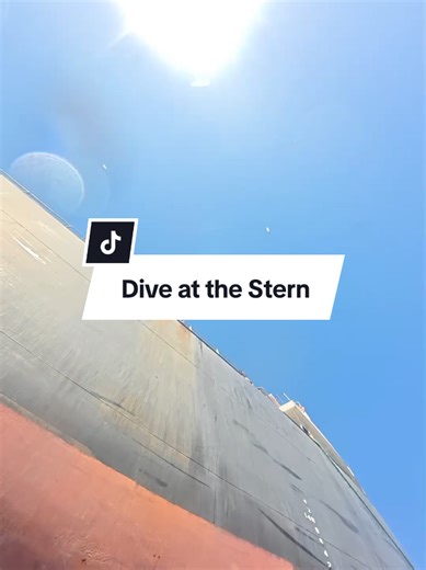Dive at the Stern: Exploring Ship Propellers and More