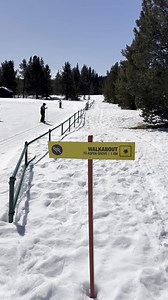It's one of our favorite parts about winter! Tahoe Donner Cross Country Ski Center recently welcomed a group of kids from Truckee Elementary. The kids got the chance to get out and enjoy a beautiful bluebird day on the trails. The Ski PE at TDXC program has existed for decades thanks to a partnership with the Truckee Unified School District. It gives students the chance to enjoy winter sports as part of physical education and field trip offerings. We definitely spotted some future cross country 