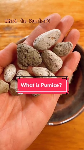 botanically.rosie on TikTok